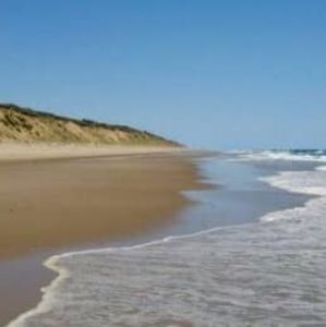 Meet your Posher, Steve